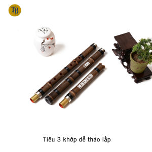 Tiêu bát khổng trúc tím khớp đơn 3 khúc cao cấp sơn lòng cho dân chuyên- TB11 Kho sáo trúc Việt Nam