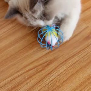 เล่นน้องหมาน้องแมว สำหรับดึงดูความสนใจของสัตว์เลี้ยง มีขน สีสดุด ราคาโรงงาน