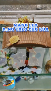 Máng leo phơi mình cho rùa dâng theo mực nước dạng TREO