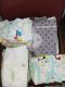 EAZ KIDSWEAR