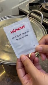 Bibit yoghurt kering 1 sachet