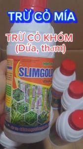 slimgold 510SC 900ml :  trừ Cỏ Mía trừ cỏ dứa trừ cỏ khóm