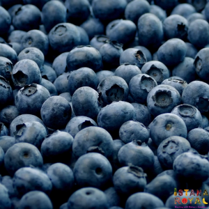 PREMIUM JUMBO BLUEBERRIES IMPORTED FROM MOROCCO - 125G PACK - ISTANA ROYAL FRUITS
