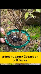 10M Gardening Essentials Robust Isolation Belt with Efficient Installation Design 10 เมตร สายพานแยกหญ้าและหิน แถบขอบ สายพานแยก แถบดิน สายพานภูมิทัศน์ พาร์ติชันสีเขียว พิมพ์สายพานแยกหินหญ้า【Ready Stock】