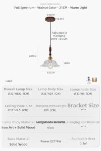 French Vintage American Retro Minimalist Glass Flower Chandelier