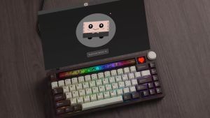 womier | Bàn Phím Cơ Không Dây Womier K80 75% RGB Thiết Kế Hộp Đèn Anime Cổ Điển Trong Suốt Với Màn Hình & Núm Điều Khiển Hỗ Trợ Thay Nóng VIA Cho Mac/PC