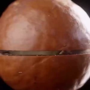 Roasted & Canned Macadamia Nuts: A Delicious Snack