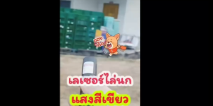 1วิไล่นก เลเซอร์ไล่นก ระยะที่ส่องไกลที่สุด20000ม เลเซอร์ ไฟไล่นก ใช้ไล่นกได้ เลเซอร์แรงสูงแสงเขียว Laser303+ถ่านชาร์จ6800mAh+เครื่องชาร์จ เลเซอร์แรงสูง ใช้ได้ทั้งกลางวันและกลางคืน ไฟฉายเลเซอร์ เลเซอร์แมว laser pointer