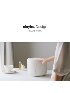Olayks SmartRice Cooker Household 2L Low Sugar Rice Cooker Ceramic glaze inner liner 1-3person