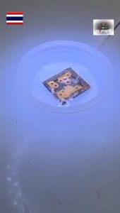 น้ำยา ละลายกาว ลอกกาว สลายกาว ใต้ ic cpu Relife Rl - 039 เครื่องมือช่าง อะไหล่ ซ่อม มือถือ