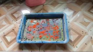 ชุดแท้ 50 แพ็ค ผงไข่เน่า ราคาถูกกำจัด เหยื่อกำจัดแมลงวัน 50 แพ็ค พิเศษ ฆ่าแมลงวันบ้าน และฆ่าแมลงวันขั้นเทพ ใช้ฆ่าแมลงวันบ้านสำหรับการเทรด