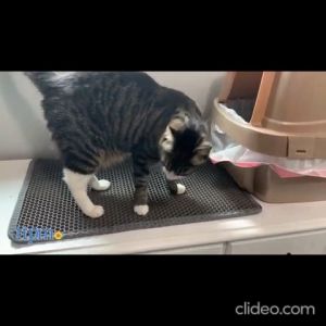 CAT LITTER MAT Happy Pets Large Cat Litter Mat-Litter Box Mat Honeycomb Double Layer Design Waterproof Soft Materials And Odorless