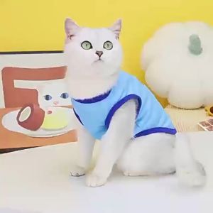 Pet Clothes Dog Clothes Cat Clothes Dog Cat Vest Shirt Summer Cartoon Shirt