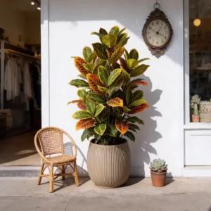 Kmitang | 58-115cm Artificial Ficus Tree Large Fake Banyan Plants Plastic Croton Tree Big Codiaeum Tree Leaves For Home Garden Decor