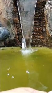 HERBORIST SABUN WAJAH TEA TREE ANTI ACNE WITH BRIGHTENING EXTRACT 80GR