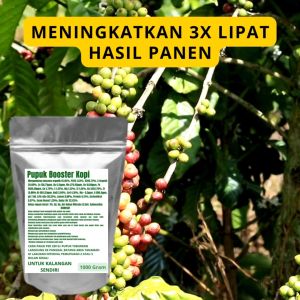 Pupuk Booster Kopi Pelebat Organik Cepat Berbuah Lebat Besar Anti Rontok Pembesar Kopi