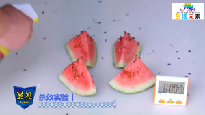 【 In Stock 】500ML Fly Killing Spray Insect Killer Fast Kill Flies Pest Control Fly trap Anti Serangga Perangkap Lalat 灭蝇喷雾