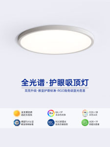 Đèn Trần Phòng Khách Tối Giản Hiện Đại Đèn Hành Lang Đèn Ban Công Đèn Trần Phòng Giặt Đèn Trần Phòng Ngủ Đèn Trần Phòng Ăn Đèn Trần Phòng Tắm