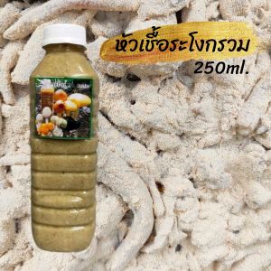 เชื้อเห็ดระโงกแดง เข้มข้น เดินเชื้อดี ติดรากไว | สูตรเฉพาะ พร้อมส่ง | 600 ml