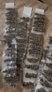 Wholesale Package - (20 pcs Pino + 20 pcs Crack + 20 pcs Buo) 900 pcs in total - 590 PESOS ONLY