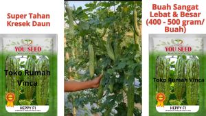 Benih Bibit Pare Hijau Super HEPPY F1 25 Biji Paria Besar Cap You Seed
