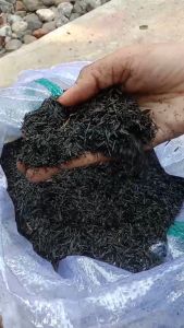 Arang Sekam 1 Kg: Media Tanam Organik