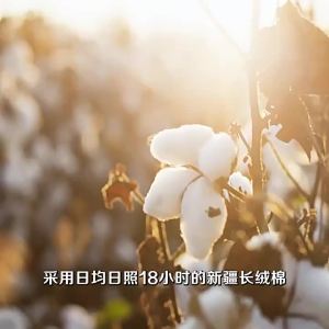 100% Xinjiang cotton quilt spring and autumn quilt winter quilt thickened all cotton air conditioning quilt core single dormitory summer cool quilt thin design