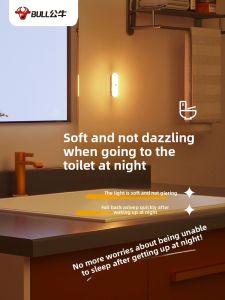 Bull | Automatic Human Sensing Night Light