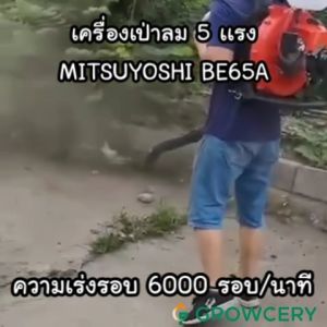 [G] เครื่องเป่าใบไม้ เป่าลม เครื่องยนต์ 2 จังหวะ 3 แรง ยี่ห้อ MITSUYOSHI รุ่น BE-3A และ  รุ่น BE-65A โดย GROWCERY เครื่องเป่าใบไม้ ยี่ห้อไหนดี - Lazada