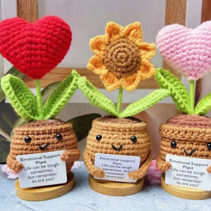 Crochet EnergyHeart Flower & Hug Pocket Knitting Doll: A Guide to Hand-Woven Home Decor