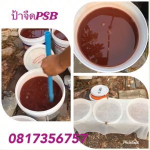 จุลินทรีย์สังเคราะห์แสง หัวเชื้อ 1500 cc/1 ขวด พร้อมคู่มือไปใช้+ขยาย พืชโตไว น้ำใส สัตว์แข็งแรง เพิ่มการออกรวงข้าว นาข้าว