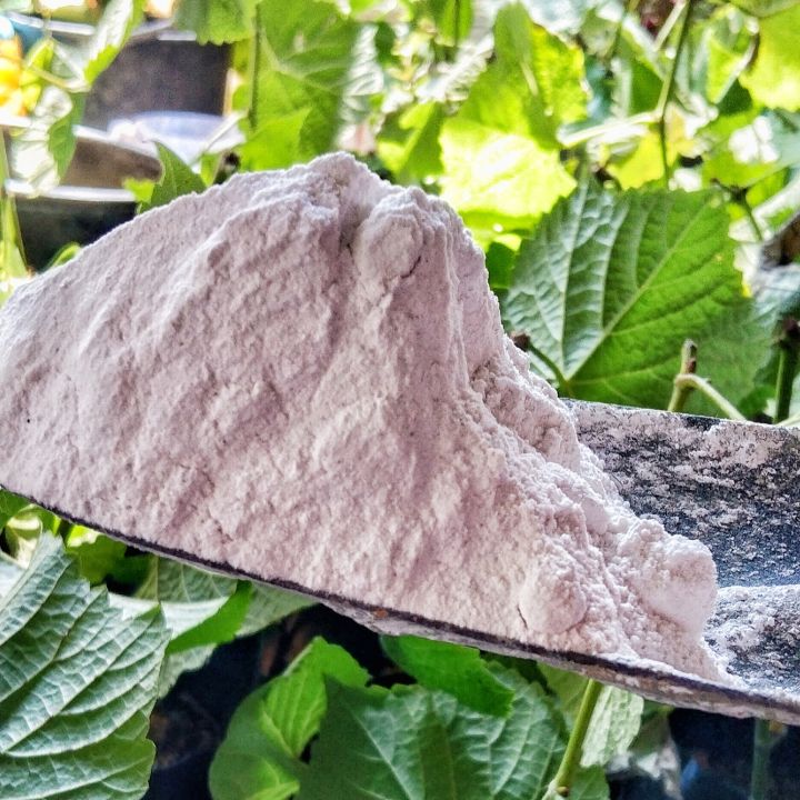 Kapur Dolomite-Sumber Calcium dan Magnesium-Pokok Lebih Tahan Penyakit-1kg