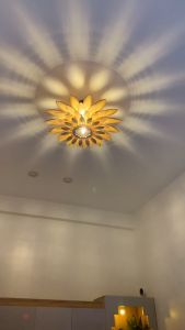 Đèn hắt tường ốp Trần- Hoa cúc
