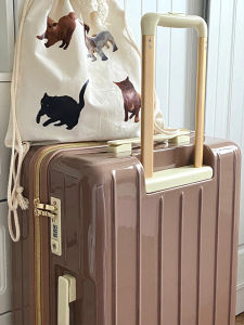 2025 New Double Layer Explosive Proof Zipper Luggage 20 Inch High Aesthetic Multi Functional Password Box for Students