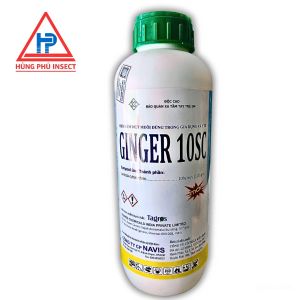 ĐẶC TRỊ DIỆT CÔN TRÙNG GINGER 10SC 1LÍT Nhập ẤN ĐỘDiệt muỗi kháng thuốc cực tốtHuyền phù đậm đặcBộ y tế Cấp Phép