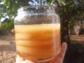 scoby kombucha, Scoby Kombucha , con giống làm trà kombucha, hay còn gọi là trà bất tử. 
