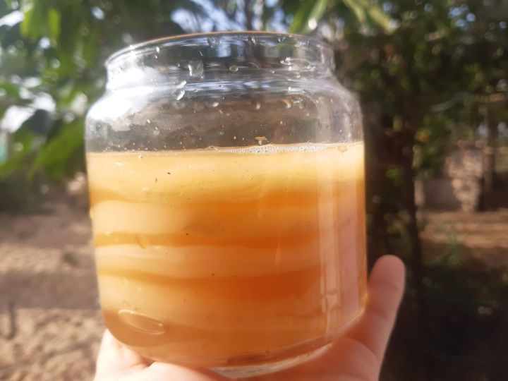 scoby%20kombucha,%20Scoby%20Kombucha%20,%20con%20gi%E1%BB%91ng%20l%C3%A0m%20tr%C3%A0%20kombucha,%20hay%20c%C3%B2n%20g%E1%BB%8Di%20l%C3%A0%20tr%C3%A0%20b%E1%BA%A5t%20t%E1%BB%AD%20-%20Image%203