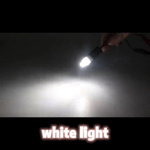 【BUY 1 TAKE 1】2PCS 3D CERAMICS T10 W5W POSITION LIGHT DRL FOR CAR MOTORCYCLE MOTOR AUTO LED CAR INTERIOR LIGHT PLATE DOME READING LAMP CLEARANCE LIGHT COURTESY DOME MAP DOOR LICENSE PLATE LIGHT PARKING LIGHTS
