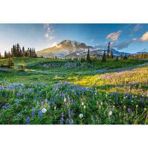 Landscape Jigsaw Puzzles 500/1000/1200/2000PCS for Adults Challenging Difficult Puzzles Birthday Gift Game Toys Wild Flowers
