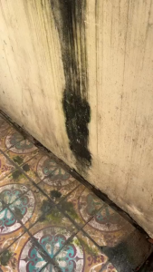 Dung Dịch Tẩy Mốc Tường SMART – Đánh Bay Nấm Mốc Ố Vàng Vết Bẩn Cứng Đầu