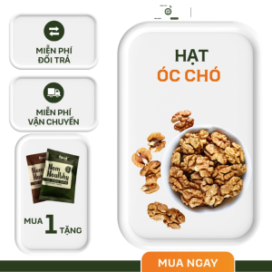 Nhân óc chó vàng hạt óc chó tách vỏ Chile hạt ngũ cốc dinh dưỡng cho bà bầu ăn kiêng giảm cân