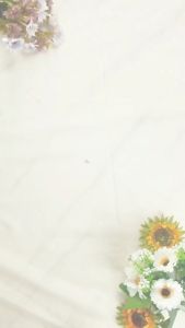 Ziyadbooks - Buku Cerita Anak Bergambar - Seri Mengenal 10 Malaikat