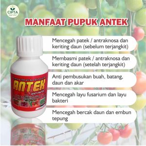 PUPUK ANTEK ANTI PATEK ANTI KERITING DAUN BERGARANSI