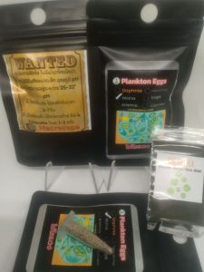 ไข่ไรแดง มาโครโครปา พร้อมอาหารเริ่มต้นทุกซอง