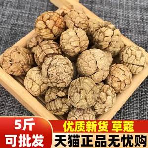 Gia Vị và Thảo Mộc Thương Mại