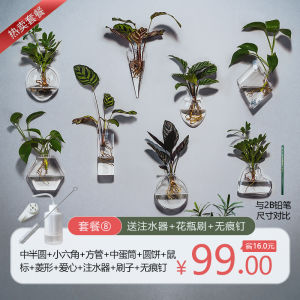 INS Wall Hydroponic Wall Hanging Vase Creative Dining Room Wall Wall Hangings Home Living Room Background Wall Decorations