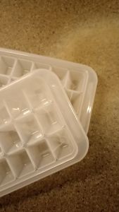 BEST WARE ICE CUBE TRAY 3901  (2 UNIT/ SET)