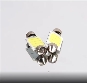 LED Lampu Kabin Plafon Festoon 31MM 36 Titik Plasma Mobil Putih Terang