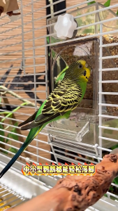 BUCATSTATE Premium Automatic Bird Feeder | Gravity Feeding | Seed Hull Catcher | Budgie Cockatiel Lovebird