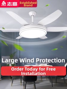 Chigo | Smart Inverter Ceiling Fan Light 56 Inches